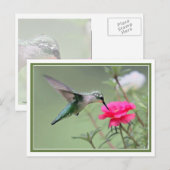 Mittagessen Postkarte (Vorne/Hinten)