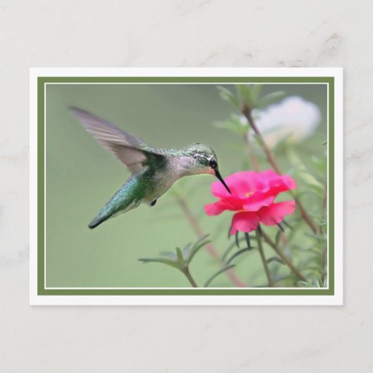 Mittagessen Postkarte (Vorderseite)