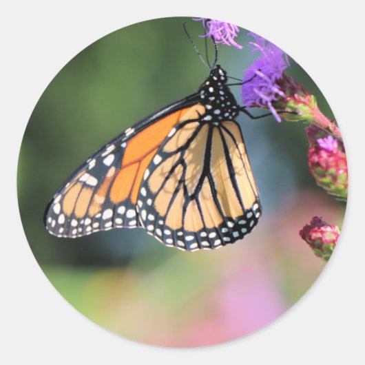 Mittagessen Runder Aufkleber (Vorderseite)