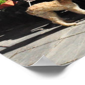 Mittagessen Vieux Quebec City Street Canada Poster (Ecke)