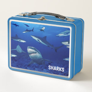 Mittags Box Sharks Metal Lunch Box