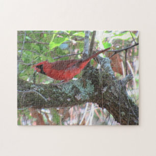 Mittags des Kardinals - Der Hinterhofbird Puzzle