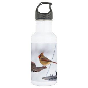 Mittags von Kardinälen Edelstahlflasche