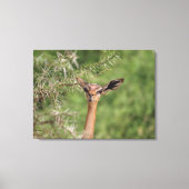 Mittagszeit Leinwanddruck (Vorderseite)