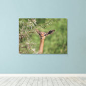 Mittagszeit Leinwanddruck (Insitu (Holzboden))