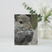 Mittagszeit Postkarte (Stehend Vorderseite)