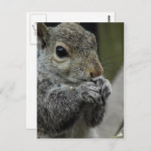 Mittagszeit Postkarte (Vorne/Hinten)