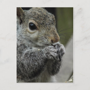 Mittagszeit Postkarte