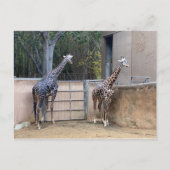 Mittagszeit Postkarte (Vorderseite)