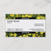 Mitte Band 5 Spots - Gelbe Milchsorten Visitenkarte (Rückseite)