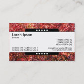 Mitte Band 5 Spots - Herbstblätter Visitenkarte (Rückseite)