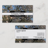 Mitte Band 5 Spots - Magnolien Bäume in Blossom Visitenkarte (Vorne/Hinten)