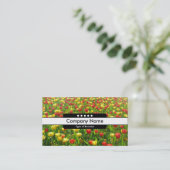 Mitte Band 5 Spots - Meer der Tulipen II Visitenkarte (Stehend Vorderseite)