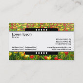 Mitte Band 5 Spots - Meer der Tulipen II Visitenkarte (Rückseite)