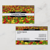 Mitte Band 5 Spots - Meer der Tulpen Visitenkarte (Vorne/Hinten)