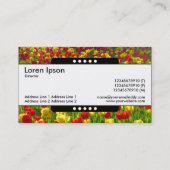 Mitte Band 5 Spots - Meer der Tulpen Visitenkarte (Rückseite)