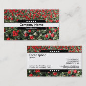 Mitte Band 5 Spots - Rote Tulpen und Primrosen Visitenkarte (Vorne/Hinten)