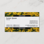 Mitte Band 5 Spots - Schwarz-mit Augen Susans Visitenkarte (Rückseite)