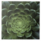 Mitte des Kaktus Fliese (Vorderseite)