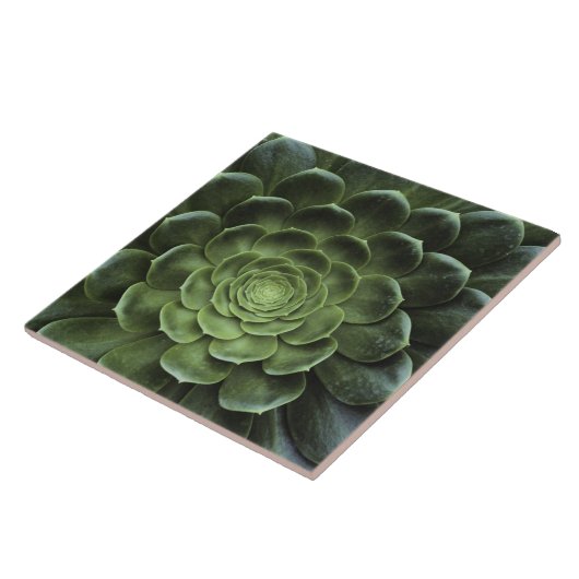 Mitte des Kaktus Fliese (Seite)