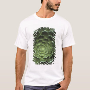 Mitte des Kaktus T-Shirt