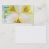 Mitte des Universums Visitenkarte (Vorne/Hinten)