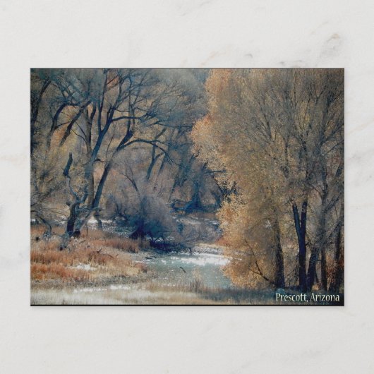 Mitte Dezember 2010 Wandern im Prescott, Arizona Postkarte (Vorderseite)