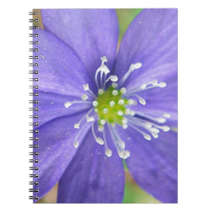 Mitte einer blauen Blume mit weißen Briefmarke Notizblock