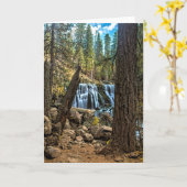 MITTE FÄLLT AUF den McCLOUD FLUSS Karte (Gelbe Blume)