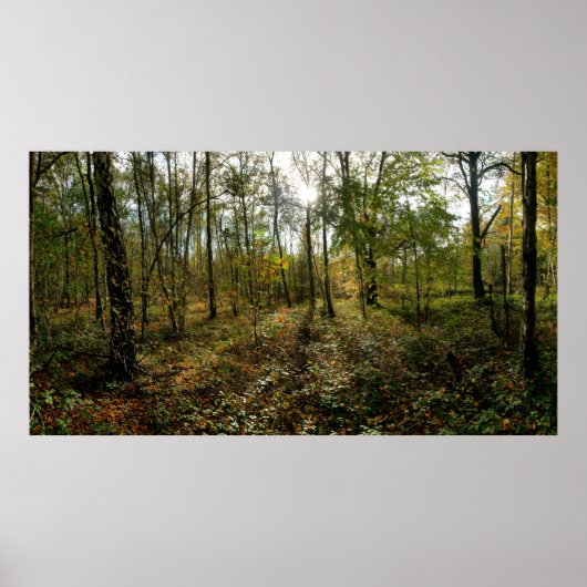 Mitte Herbst, Poster (Vorne)