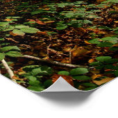 Mitte Herbst, Poster (Ecke)