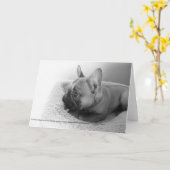 Mitteilungskarte (Gelbe Blume)