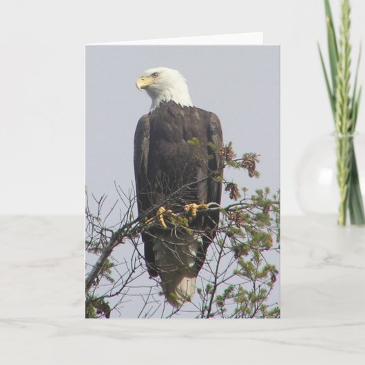 Mitteilungskarte (Vorderseite)