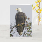 Mitteilungskarte (Gelbe Blume)