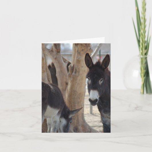 Mitteilungskarte (Vorderseite)