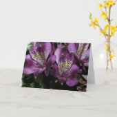 Mitteilungskarten (Gelbe Blume)