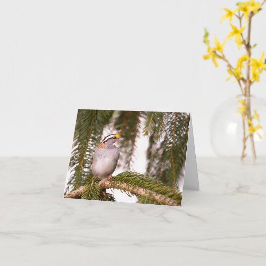 Mitteilungskarten (Gelbe Blume)