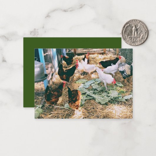 Mitteilungskarten (Vorderseite/Rückseite Beispiel)