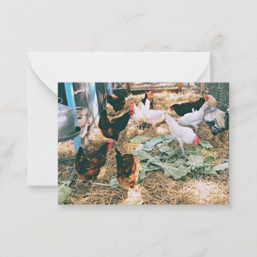 Mitteilungskarten (Vorderseite)