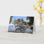 Mitteilungskarten "der lehnenden Liveeiche" (Gelbe Blume)