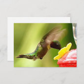Mitteilungskarten Hummingbird-Karten (Vorne/Hinten)