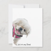 Mitteilungskarten mit Peter Rottentail (Vorderseite)