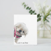 Mitteilungskarten mit Peter Rottentail (Stehend Vorderseite)