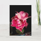 Mitteilungskarten, Tulpen, Rosa und Weiß Dankeskarte (Vorderseite)