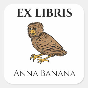 Mittelalterliche besorgte Eulen-Vogel-Exlibris Quadratischer Aufkleber