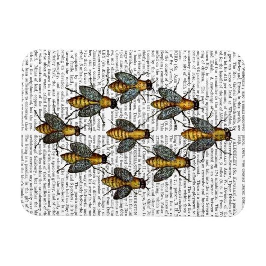 Mittelalterliche Bienen 2 Magnet (Horizontal)