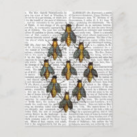 Mittelalterliche Bienen 2