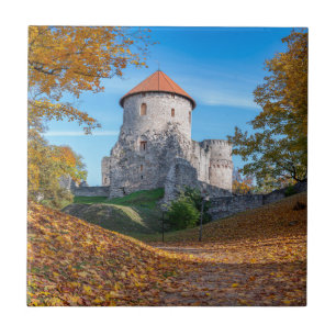 Mittelalterliche Burg umgeben von Wäldern Fliese