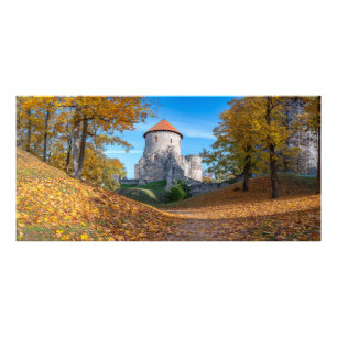 Mittelalterliche Burg umgeben von Wäldern Fotodruck