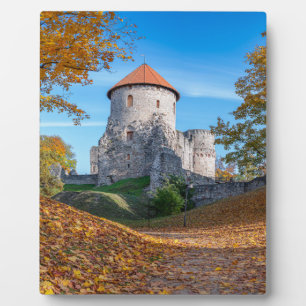Mittelalterliche Burg umgeben von Wäldern Fotoplatte